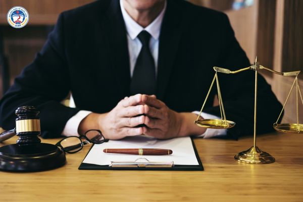 Nên học Luật hay Luật Kinh tế? So sánh chi tiết để chọn đúng ngành
