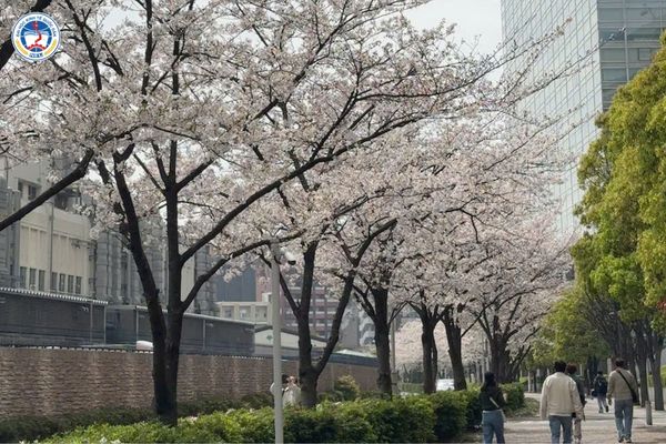 Kinh nghiệm học Quản trị Kinh doanh hiệu quả cho người đi làm