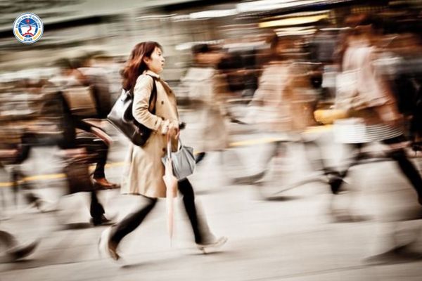 Đi Nhật về nên làm nghề gì? Cẩm nang chuyển đổi sự nghiệp cùng Đại học từ xa NEU